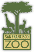  San Francisco summer camps